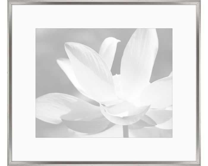 Художественный принт  Gray Flowers IV Iconic Pineapple