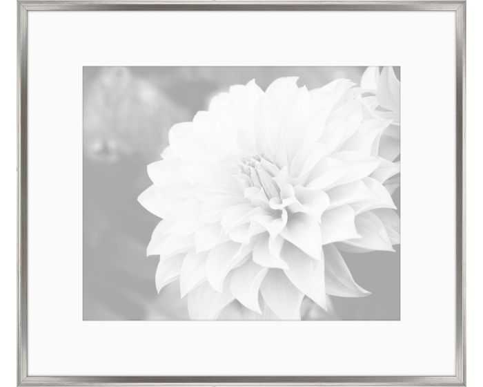 Художественный принт  Bittner Gray Flowers II Iconic Pineapple