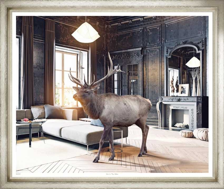 Художественный принт Elk In The Room Trowbridge
