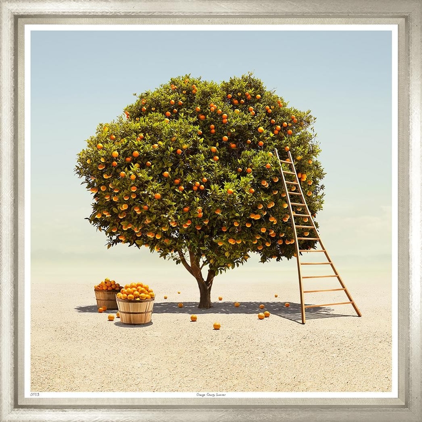 Художественный принт Orange County Summer Trowbridge