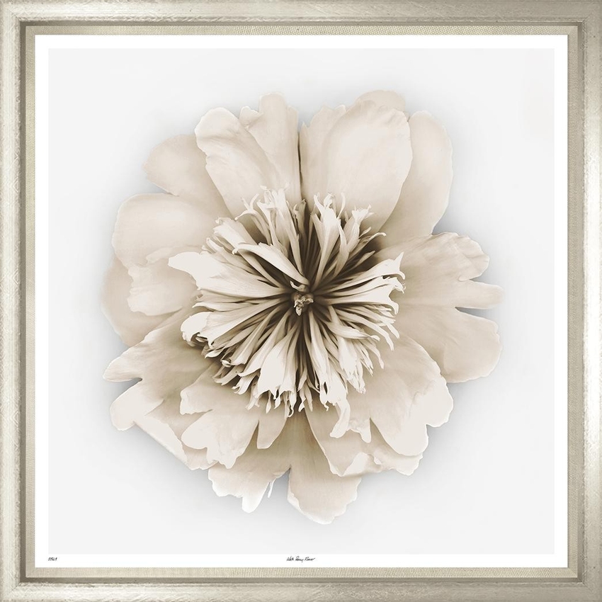 Художественный принт Peony Sepia Trowbridge