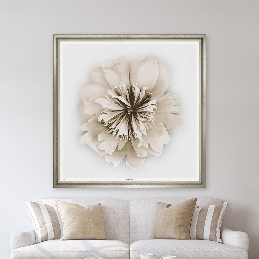 Художественный принт Peony Sepia Trowbridge