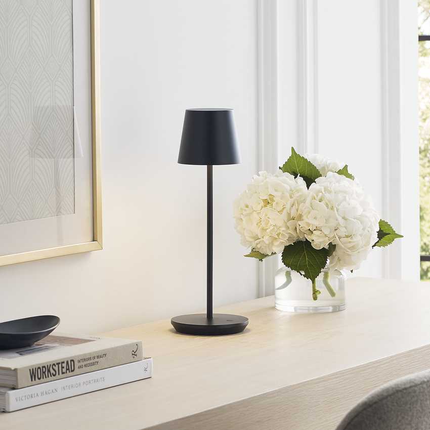 Перезаряжаемая настольная лампа Nevis Tech Lighting | Modern Collection