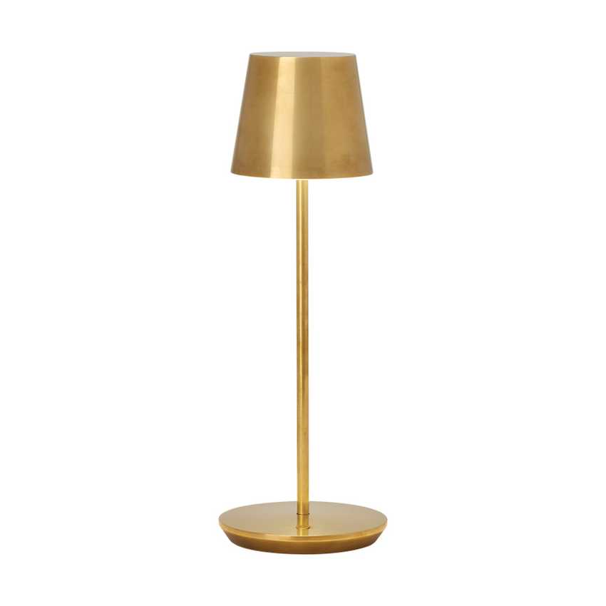 Перезаряжаемая настольная лампа Nevis Tech Lighting | Modern Collection