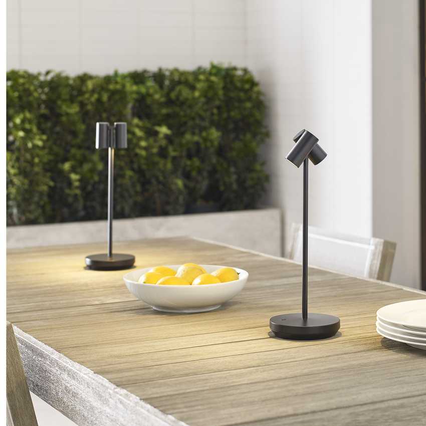 Перезаряжаемая настольная лампа Doppia  Tech Lighting | Modern Collection