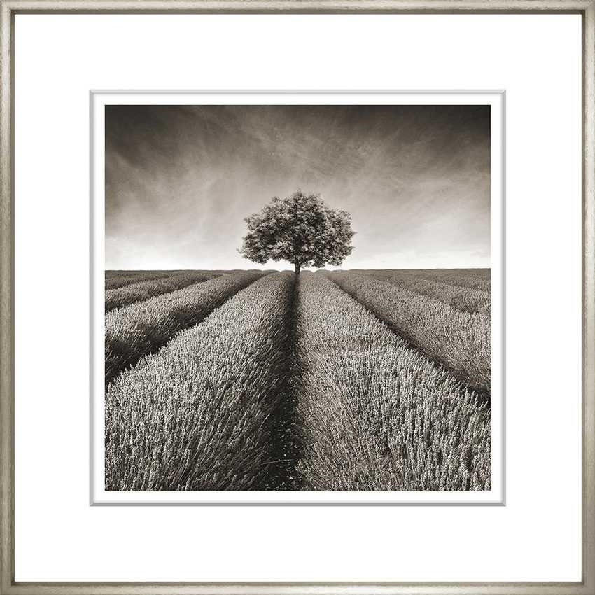 Художественный принт Sepia Landscape Collection Trowbridge